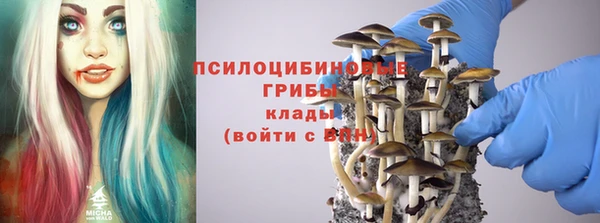 эйфоретик Арсеньев