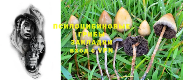 не бодяженный Аркадак