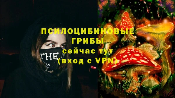 не бодяженный Аркадак