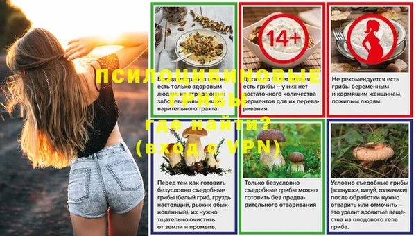 эйфоретик Арсеньев