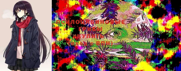 метамфетамин Армянск