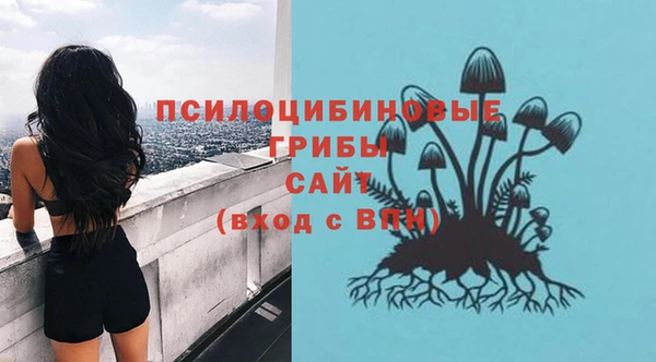 не бодяженный Аркадак