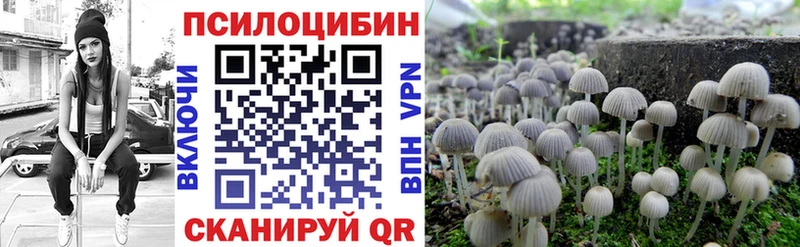Псилоцибиновые грибы Magic Shrooms  мега   Покачи 